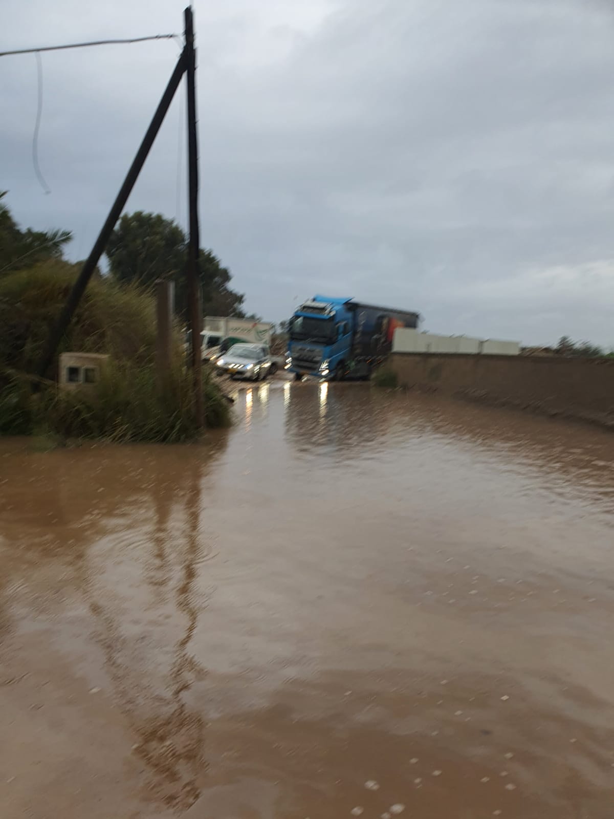 WhatsApp Image 2022-01-16 at 10.31.36 AM.jpeg